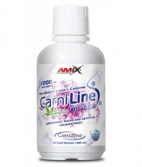 AMIX CarniLine ProActive with Green Tea  480 ml.