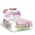 AMIX CarniLine Pro Fitness 2000 / 10 Fiole