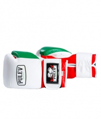 PULEV SPORT Bul Power Boxing Gloves w/ Velcro