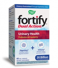 NATURES WAY Fortify Dual Action Urinary Health / 60 Vcaps.