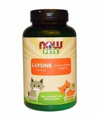 NOW PETS L-Lysine for CATS