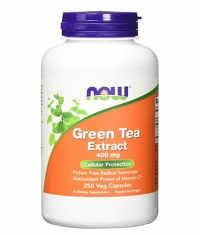 NOW Green Tea Extract 400 mg / 250Vcaps.