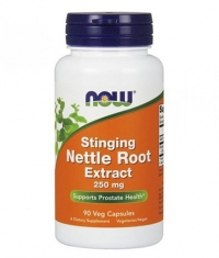 NOW Nettle Root Extract 250mg. / 90 VCaps.