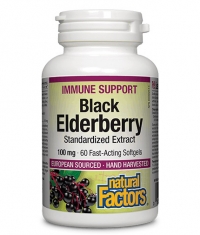 NATURAL FACTORS Black Elderberry 100 mg Standardized Extract / 60 Softgels
