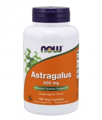 NOW Astragalus 500mg. / 100 Caps.