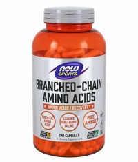 NOW Branched Chain Amino /BCAA/240Caps.