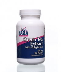 HAYA LABS Green Tea Extract 500mg / 120 Tabs.