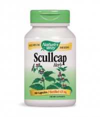 NATURES WAY Scullcap Herb 100 Caps.